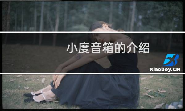 小度音箱的介绍