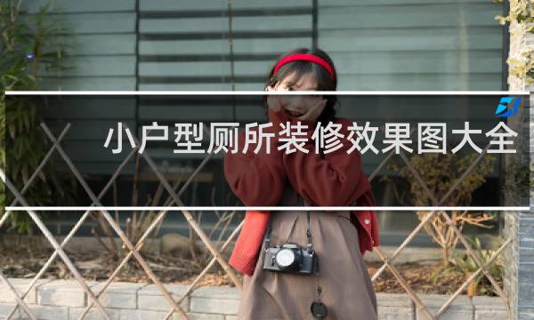 小户型厕所装修效果图大全