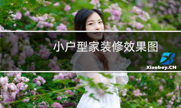 小户型家装修效果图