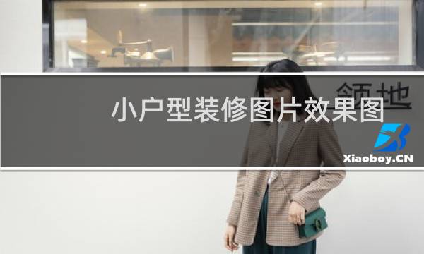 小户型装修图片效果图