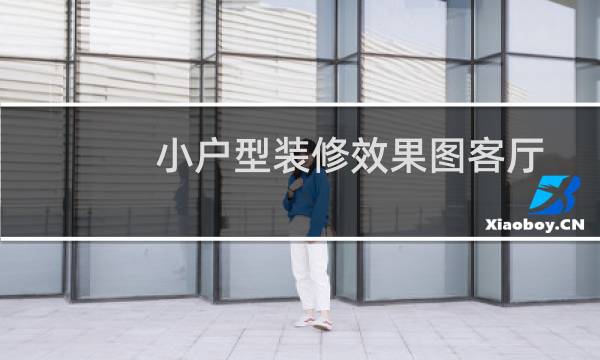 小户型装修效果图客厅