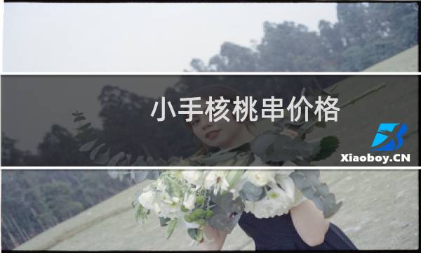 小手核桃串价格