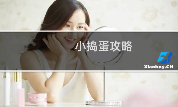 小捣蛋攻略