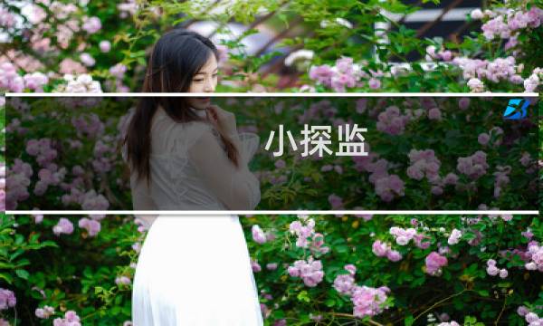 小探监 攻略