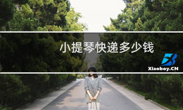 小提琴快递多少钱