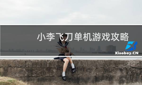 小李飞刀单机游戏攻略