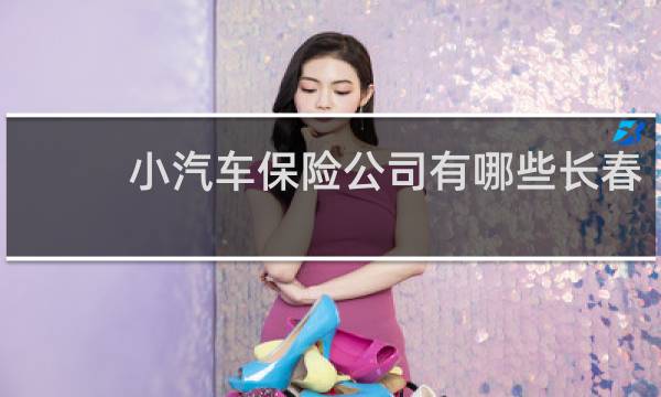 小汽车保险公司有哪些长春