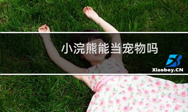 小浣熊能当宠物吗