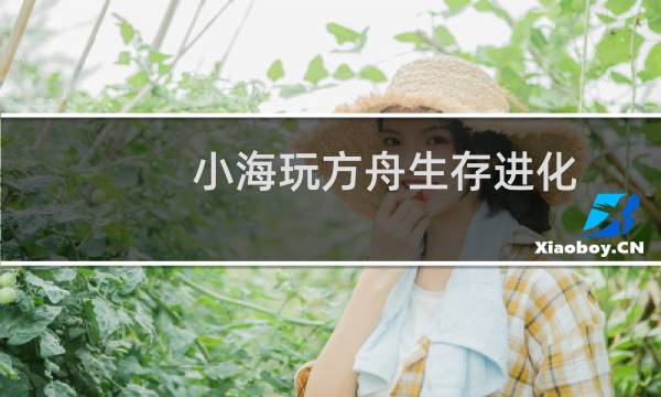 小海玩方舟生存进化