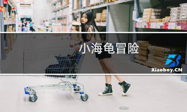 小海龟冒险 攻略