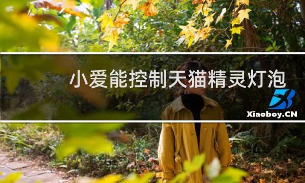 小爱能控制天猫精灵灯泡