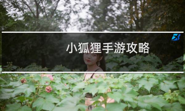 小狐狸手游攻略