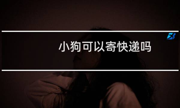小狗可以寄快递吗
