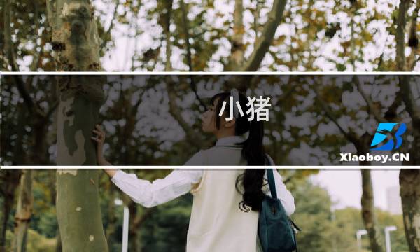 小猪 方舟生存进化