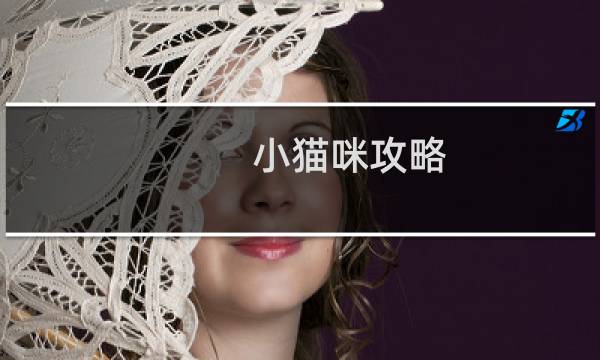 小猫咪攻略