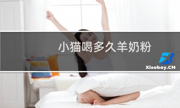 小猫喝多久羊奶粉
