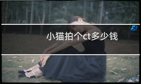 小猫拍个ct多少钱