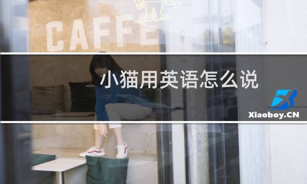 小猫用英语怎么说