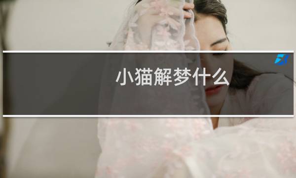 小猫解梦什么