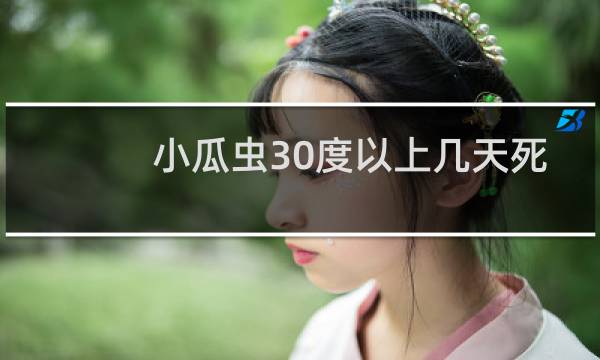 小瓜虫30度以上几天死