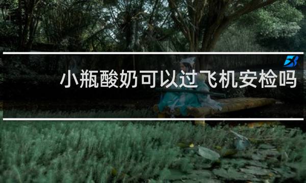 小瓶酸奶可以过飞机安检吗