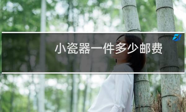 小瓷器一件多少邮费