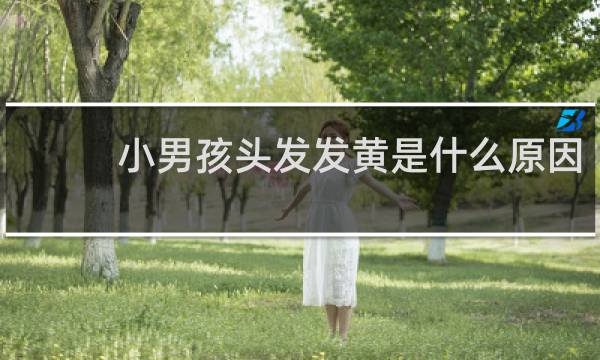 小男孩头发发黄是什么原因