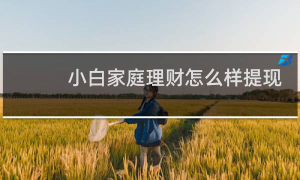 小白家庭理财怎么样提现
