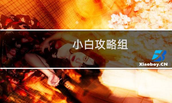小白攻略组