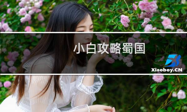 小白攻略蜀国
