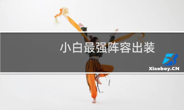 小白最强阵容出装