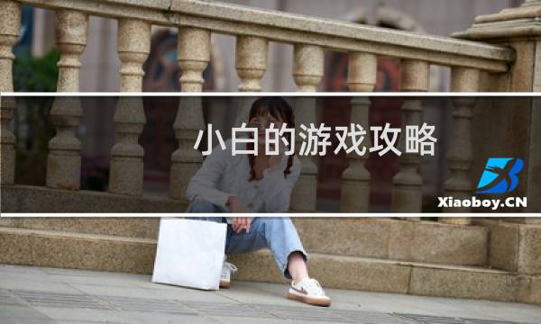 小白的游戏攻略