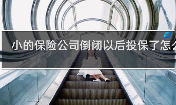 小的保险公司倒闭以后投保了怎么办