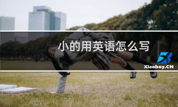 小的用英语怎么写