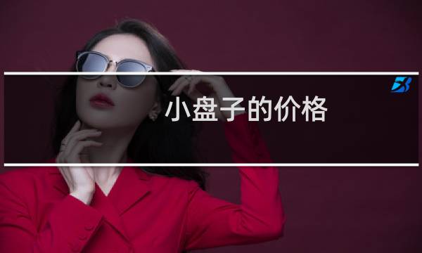小盘子的价格