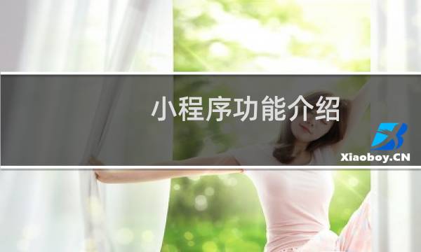 小程序功能介绍