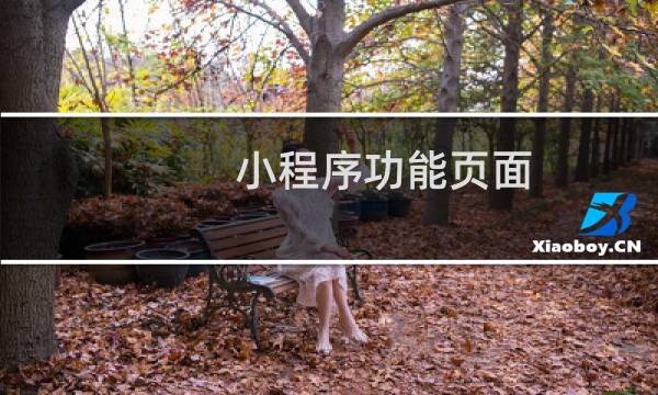 小程序功能页面
