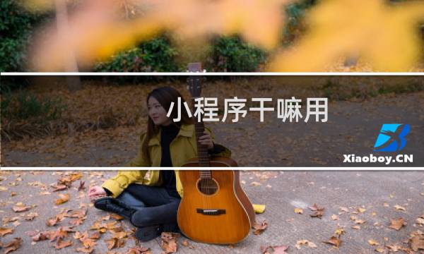 小程序干嘛用