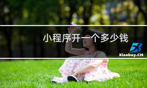 小程序开一个多少钱