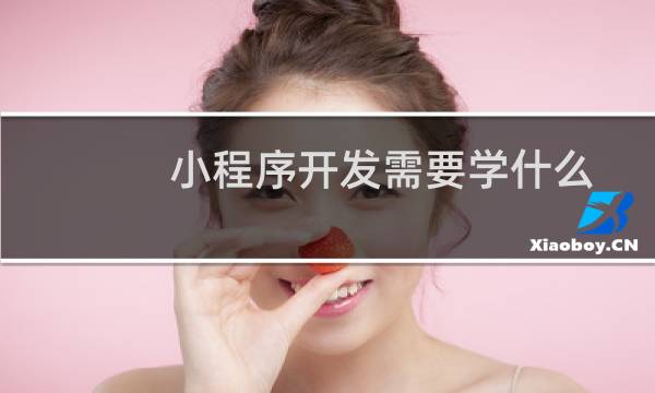 小程序开发需要学什么