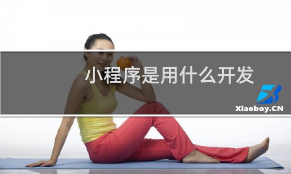 小程序是用什么开发