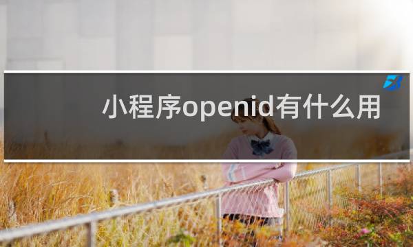 小程序openid有什么用