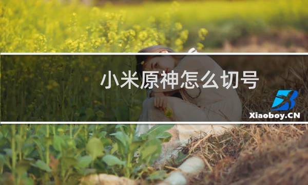 小米原神怎么切号
