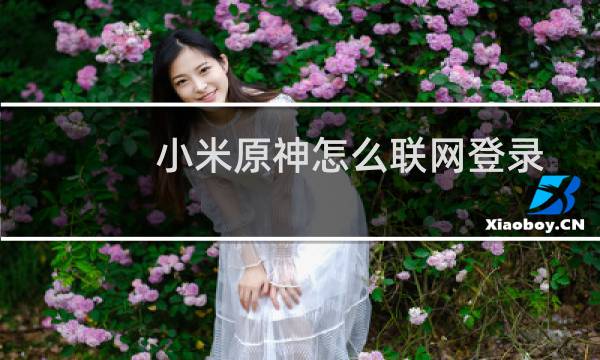 小米原神怎么联网登录