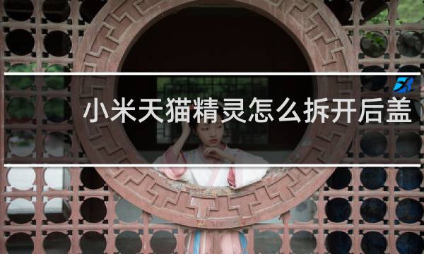 小米天猫精灵怎么拆开后盖