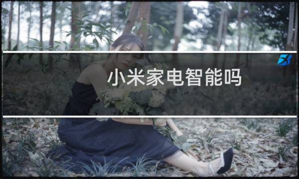 小米家电智能吗