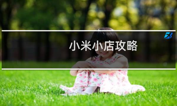 小米小店攻略