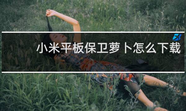 小米平板保卫萝卜怎么下载