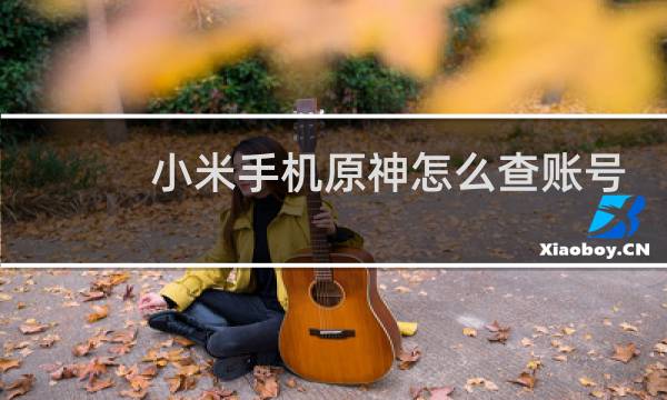 小米手机原神怎么查账号