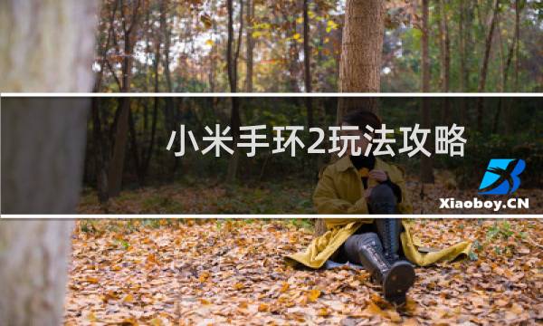 小米手环2玩法攻略